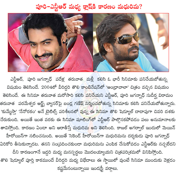 ntr,puri jagannadh,puri jagannadh directing ntr,ego clash between jagan ntr,madhurima,kajal agarwal,madhurima second heroine in ntr film,madhurima signs ntr-puri jagannath film,puri jagannadh special intrest for madhurima,  ntr, puri jagannadh, puri jagannadh directing ntr, ego clash between jagan ntr, madhurima, kajal agarwal, madhurima second heroine in ntr film, madhurima signs ntr-puri jagannath film, puri jagannadh special intrest for madhurima, 